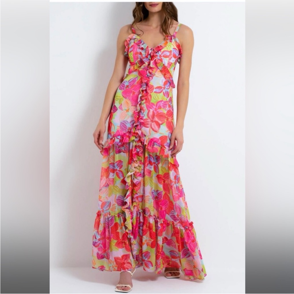 Nwt $750 Patbo Hydra Maxi Dress Sz 8 Pink Multicolor